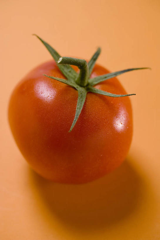 无人,竖图,俯视,室内,特写,白天,餐桌,桌子,蔬菜,西红柿,橙色背景,阴影,新鲜,反射,影子,食品,食物,一个,红色,摄影,有机食品,绿色食品,影棚,单个,餐台,番茄,彩图,高角度拍摄,影棚拍摄,拍摄