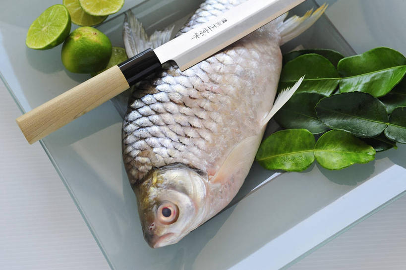 无人,横图,俯视,室内,特写,白天,餐桌,桌子,餐具,水果,叶子,金属制品,一把,一条,阴影,新鲜,反射,金属,鱼,碟子,工具,盘,影子,生食,食品,果实,绿叶,刀具,鱼类,食物,一个,盘子,碟,刀,嫩叶,有机食品,绿色食品,单个,餐台,菜刀,横截面,剖面,酸橙,切菜刀,代代,截面,截面图形,叶,叶片,橙子,橙,半身,彩图,高角度拍摄,花鲮,鲮公,鲮鱼,土鲮,雪鲮