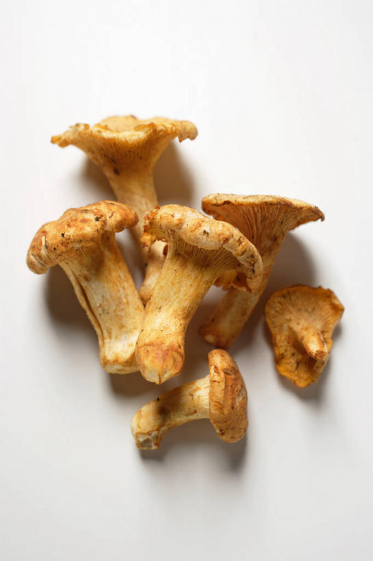无人,竖图,俯视,室内,特写,白天,白色背景,桌面,桌子,蔬菜,一堆,许多,阴影,堆叠,堆积,朦胧,模糊,新鲜,反射,木制,影子,菌菇,食品,菌类,食物,木制品,食用菌,摄影,有机食品,绿色食品,影棚,堆,鸡油菌,杏黄菌,杏菌,彩图,高角度拍摄,影棚拍摄,拍摄