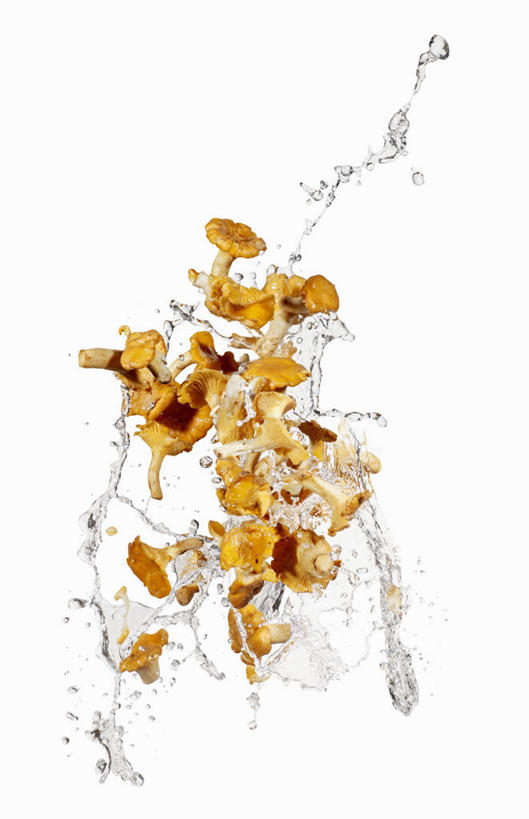 无人,竖图,室内,特写,白天,白色背景,正面,水,蔬菜,许多,阴影,飞溅,新鲜,溅,反射,液体,影子,水滴,菌菇,食品,菌类,水珠,食物,食用菌,摄影,有机食品,绿色食品,影棚,喷洒,下降,降落,鸡油菌,杏黄菌,杏菌,降低,下跌,下落,彩图,影棚拍摄,拍摄