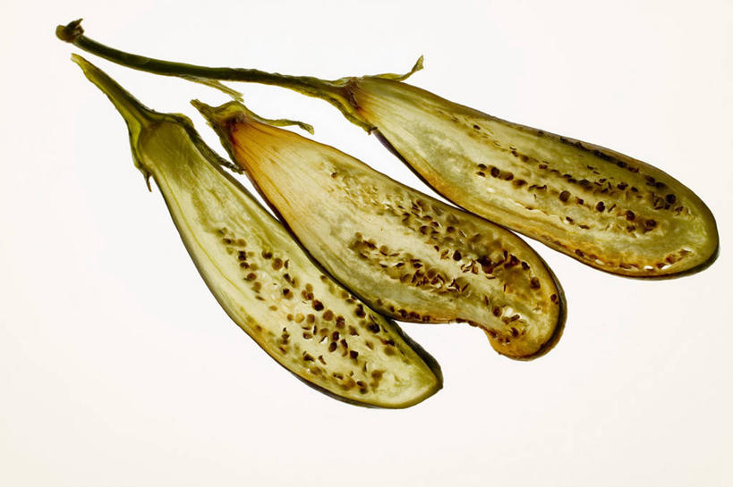 无人,横图,俯视,室内,特写,白天,白色背景,烧烤,桌面,桌子,茄子,蔬菜,切开,阴影,新鲜,反射,木制,影子,食品,烤架,烤肉,三片,食物,木制品,切,铁架,摄影,有机食品,绿色食品,影棚,剖面,切面,落苏,酪酥,昆仑瓜,矮瓜,彩图,高角度拍摄,影棚拍摄,拍摄