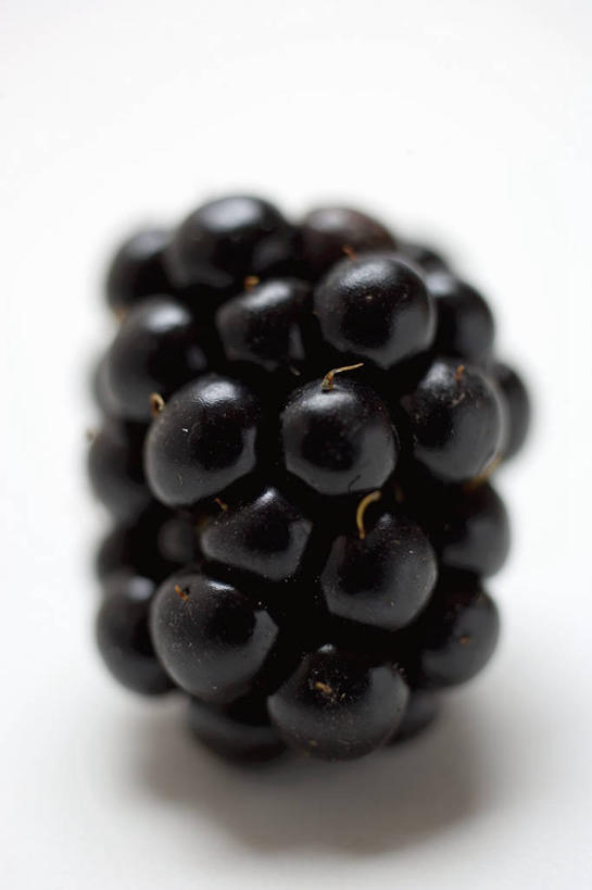 无人,竖图,俯视,室内,特写,白天,白色背景,桌面,桌子,黑莓,水果,阴影,朦胧,模糊,新鲜,反射,木制,影子,生食,食品,果实,食物,一个,蓝色,木制品,摄影,有机食品,绿色食品,影棚,单个,露莓,彩图,高角度拍摄,影棚拍摄,拍摄