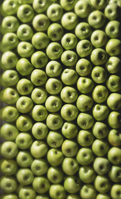 无人,竖图,俯视,室内,特写,白天,苹果,水果,一排,许多,阴影,新鲜,整齐,并列,并排,反射,影子,生食,食品,果实,食物,排列,绿色,青苹果,摄影,有机食品,绿色食品,影棚,青春,生命,队列,和平,安详,平行,冷色,彩图,高角度拍摄,影棚拍摄,拍摄