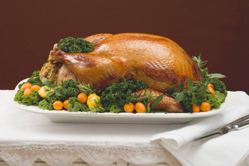 无人,横图,俯视,室内,特写,白天,植物,桌面,桌子,鸡,餐具,水果,一堆,许多,阴影,堆叠,堆积,红色背景,节日,庆祝,新鲜,反射,木制,布料,碟子,盘,影子,鸡肉,肉,生食,食品,果实,草药,药草,火鸡,布纹,文化,肉类,家禽,中药,桌布,食物,动物,盘子,餐巾,木制品,碟,台布,庆典,金橘,金桔,摄影,牲畜,有机食品,绿色食品,影棚,纪念,堆,金弹,金柑,金枣,洋奶桔,药材,中草药,肉食,感恩节,中药材,本草,七面鸟,吐绶鸡,牛奶桔,彩图,高角度拍摄,影棚拍摄,拍摄