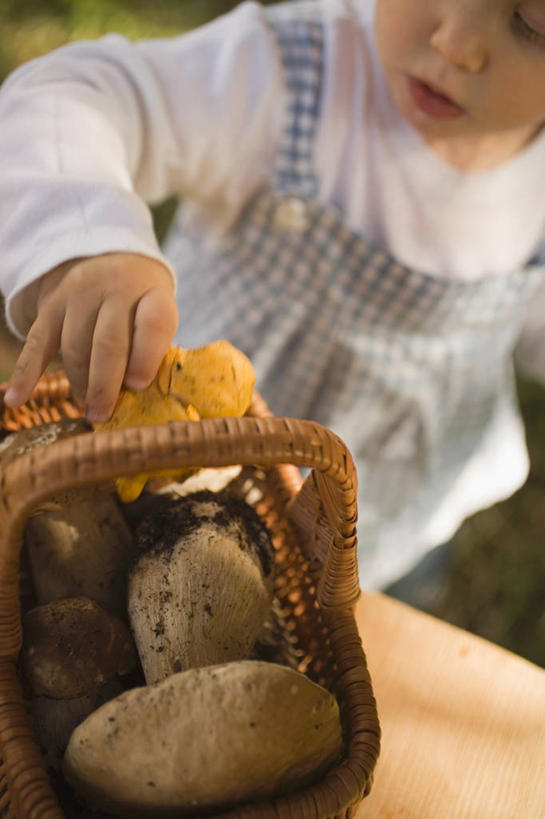 西方人,儿童,一个人,站,交叉,竖图,俯视,室外,白天,纯洁,桌面,桌子,竹子,蔬菜,欧洲,欧洲人,仅一个女性,仅一个人,一堆,许多,握,堆叠,堆积,竹制,服装,朦胧,模糊,新鲜,编织,木制,篮子,菌菇,蘑菇,食品,拿,菌类,拿着,注视,休闲装,中药,食物,小孩,衣服,木制品,竹篮,观察,看,站着,仅一个小孩,休闲,休闲服,食用菌,可爱,童年,童趣,握着,服饰,有机食品,绿色食品,观看,竹条,堆,交织,察看,竹制品,关注,药材,童真,烂漫,无邪,牛肝菌,中药材,穿插,美味牛肝菌,大脚菇,天真,女孩,女人,女性,白种人,孩子,站立,半身,彩图,高角度拍摄,女生