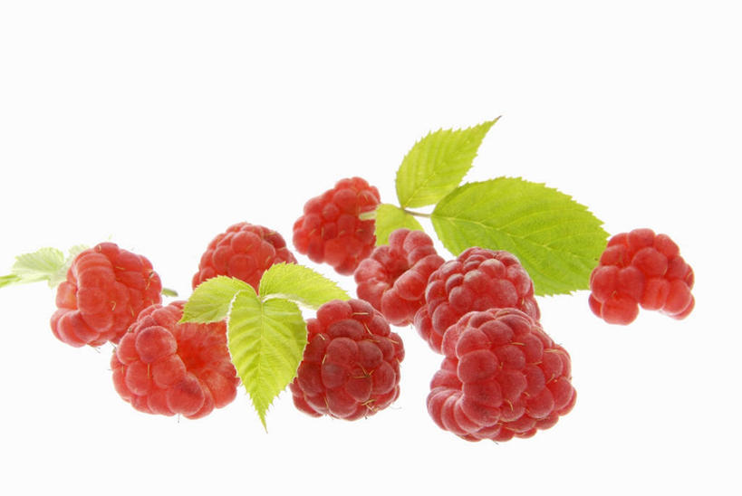 无人,横图,俯视,室内,特写,白天,白色背景,桌面,桌子,水果,叶子,阴影,朦胧,模糊,新鲜,反射,木制,影子,生食,食品,果实,绿叶,食物,木制品,嫩叶,摄影,有机食品,绿色食品,影棚,山莓,树莓,三月泡,四月泡,山抛子,刺葫芦,悬钩子,馒头菠,高脚菠,龙船泡,泡儿刺,叶,叶片,彩图,高角度拍摄,影棚拍摄,拍摄