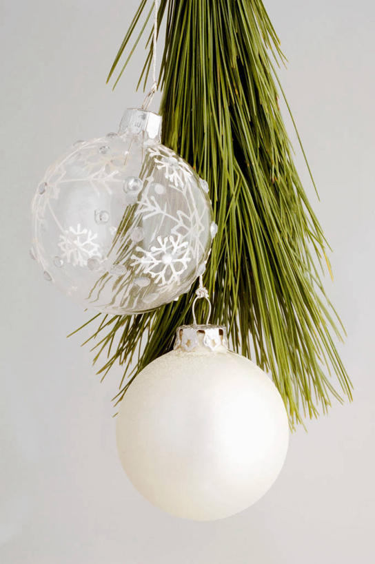 无人,竖图,室内,特写,白天,白色背景,正面,植物,圣诞节,吊挂,悬挂,阴影,节日,庆祝,装饰,反射,挂饰,影子,圣诞树,圣诞球,挂,文化,球,树,树木,两个,绿色,自然,庆典,球体,摄影,影棚,生长,成长,纪念,华丽,修饰,点缀,衬托,美观,雅致,雅观,彩图,影棚拍摄,拍摄