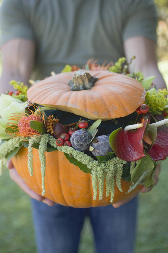 西方人,一个人,站,捧,竖图,室外,白天,正面,草地,草坪,植物,黑莓,萝卜,胡萝卜,南瓜,蔬菜,水果,欧洲,欧洲人,仅一个男性,仅一个人,服装,朦胧,模糊,新鲜,盛开,金瓜,生食,食品,果实,花蕾,休闲装,蔬果,番瓜,草,花,花瓣,花朵,鲜花,食物,仅一个年轻男性,衣服,绿色,花苞,花蕊,站着,休闲,休闲服,服饰,有机食品,绿色食品,麦瓜,倭瓜,露莓,男人,男性,年轻男性,白种人,红萝卜,甘荀,端,端着,捧着,手捧,站立,半身,彩图