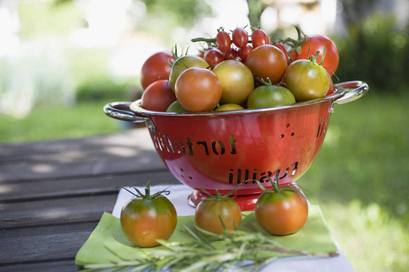 无人,横图,俯视,室外,特写,白天,草地,草坪,植物,桌面,桌子,蔬菜,西红柿,小番茄,一堆,许多,阴影,堆叠,堆积,朦胧,模糊,新鲜,光线,木制,英文,标志,滤器,文字,影子,字符,勺子,字母,食品,案板,标识,砧板,草,树,树木,食物,绿色,阳光,自然,木制品,有机食品,绿色食品,生长,成长,堆,英文字母,漏勺,小西红柿,樱桃小番茄,珍珠小番茄,樱桃番茄,圣女果,番茄,彩图,高角度拍摄