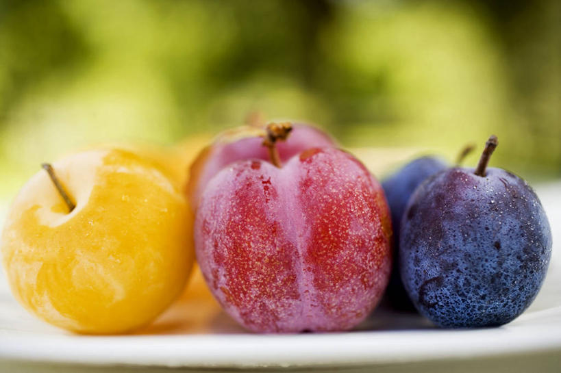 无人,横图,室外,特写,白天,正面,树林,植物,桌面,桌子,李子,餐具,水果,阴影,朦胧,模糊,新鲜,光线,木制,碟子,盘,影子,生食,食品,果实,树,树木,食物,三个,黄色,红色,绿色,紫色,阳光,自然,盘子,木制品,碟,有机食品,绿色食品,生长,成长,红李,鸡血李,杏李,彩图