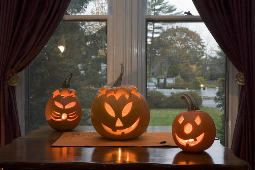 脸,头,脸颊,无人,横图,室内,白天,正面,草地,草坪,植物,窗户,窗帘,落地窗,桌面,桌子,南瓜,蔬菜,照明,一排,节日,庆祝,新鲜,整齐,装饰,木制,灯光,金瓜,食品,文化,镂空,番瓜,玻璃窗,灯,草,树,树木,食物,排列,三个,绿色,自然,帘子,木制品,灯具,庆典,遮阳,南瓜灯,万圣节,有机食品,绿色食品,生长,成长,纪念,华丽,修饰,麦瓜,倭瓜,照亮,点缀,照明设备,队列,衬托,美观,雅致,雅观,镂刻,头部,脸部,脸蛋,面部,彩图