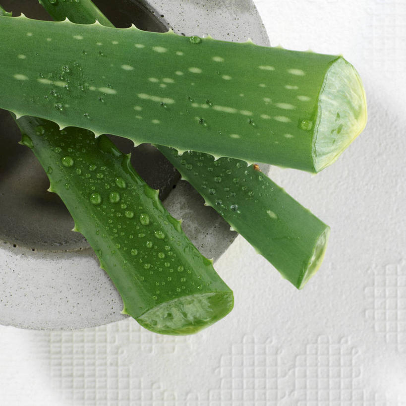 无人,方图,俯视,室内,特写,白天,白色背景,实验,仪器,桌面,桌子,芦荟,阴影,研究,反射,分析,化学,木制,影子,三个,一个,木制品,器皿,摄影,影棚,单个,研磨,实验用品,研钵,罗帷草,讷会,奴会,象鼻莲,象胆,彩图,高角度拍摄,影棚拍摄,拍摄,油葱