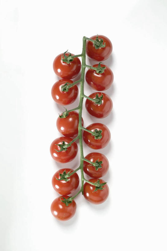 无人,竖图,俯视,室内,特写,白天,白色背景,桌面,桌子,蔬菜,西红柿,小番茄,一排,许多,阴影,新鲜,整齐,并列,并排,反射,木制,影子,食品,食物,排列,木制品,摄影,有机食品,绿色食品,影棚,队列,平行,小西红柿,樱桃小番茄,珍珠小番茄,樱桃番茄,圣女果,番茄,彩图,高角度拍摄,影棚拍摄,拍摄