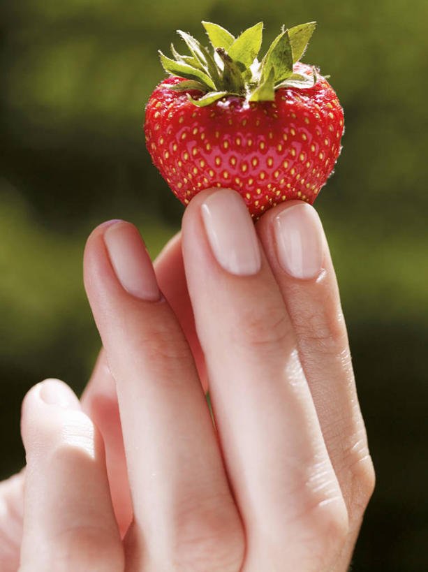 西方人,手,一个人,竖图,室内,特写,白天,正面,草莓,浆果,水果,叶子,欧洲,欧洲人,仅一个年轻女性,仅一个女性,仅一个人,握,朦胧,模糊,新鲜,生食,食品,果实,绿叶,拿,拿着,食物,一个,手部,嫩叶,握着,有机食品,绿色食品,单个,单手,年轻女性,女人,女性,白种人,叶,叶片,洋莓,水果皇后,红莓,地莓,半身,彩图