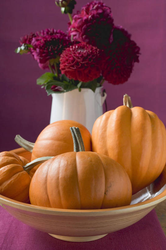 无人,竖图,俯视,室内,特写,白天,智慧,桌面,桌子,南瓜,蔬菜,花瓶,玻璃,阴影,新鲜,艺术,装饰,盛开,反射,木制,影子,陶瓷,金瓜,食品,陶瓷制品,花蕾,文化,番瓜,玻璃制品,花,花瓣,花朵,鲜花,食物,一个,插花,木制品,瓶子,容器,碗,花苞,花蕊,橙色,摄影,有机食品,绿色食品,影棚,单个,储藏,华丽,修饰,麦瓜,倭瓜,插花艺术,点缀,创造,储存,创作,想象,衬托,美观,雅致,雅观,彩图,高角度拍摄,影棚拍摄,拍摄,贮存