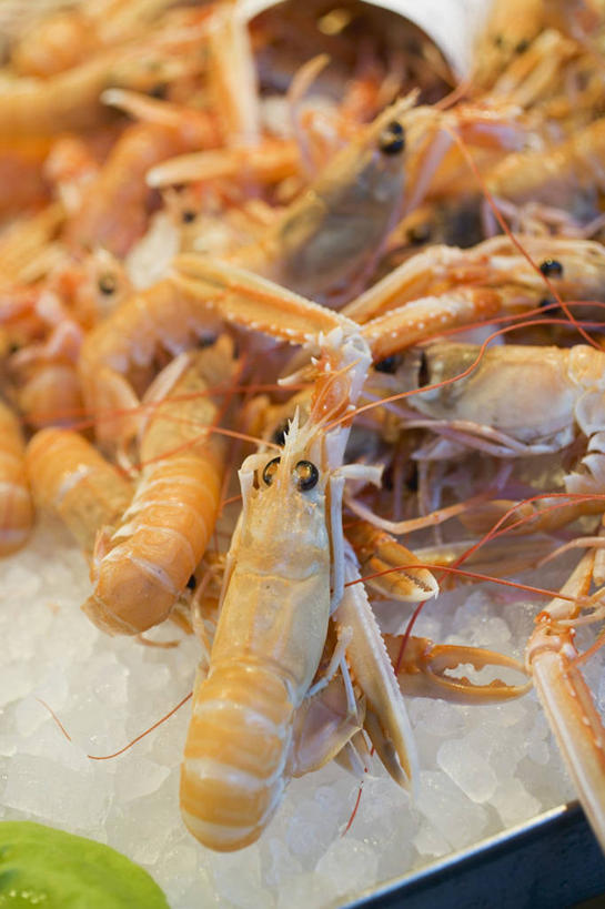 海鲜,无人,竖图,俯视,室内,特写,白天,购物,消费,一堆,许多,堆叠,堆积,朦胧,模糊,冰,虾,冰块,集市,市场,很多,冷冻,水产,大虾,海洋生物,寒冷,金融,对虾,冷藏,堆,冰冷,水生动物,海产品,水生物,选购,贸易,海底动物,斑节虾,保鲜,东方对虾,中国对虾,彩图,高角度拍摄,鱼市