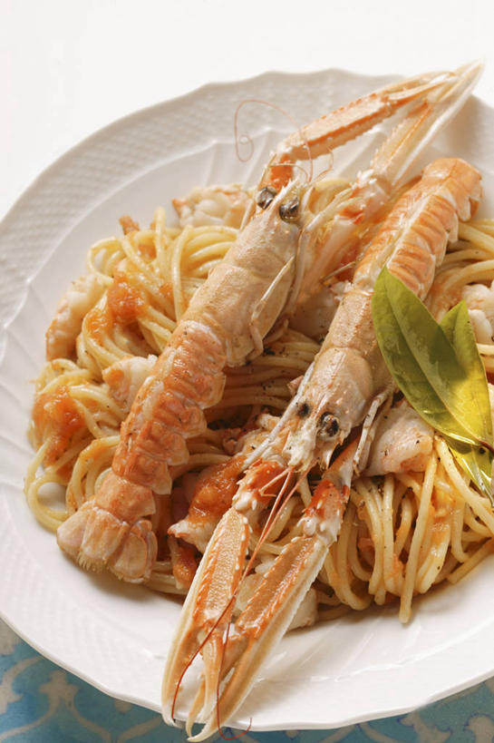 海鲜,面食,面条,龙虾,意大利面,无人,竖图,俯视,室内,特写,白天,白色背景,西餐,餐桌,桌子,餐具,一堆,阴影,堆叠,堆积,反射,碟子,盘,影子,调料,酱料,酱汁,面,茄汁,虾,佐料,料理,食品,调味品,调味料,番茄酱,水产,酱,海洋生物,食物,一个,盘子,碟,西式,摄影,影棚,单个,餐台,堆,水生动物,海产品,水生物,海底动物,挪威海螯虾,挪威龙虾,海螯虾,彩图,高角度拍摄,影棚拍摄,拍摄