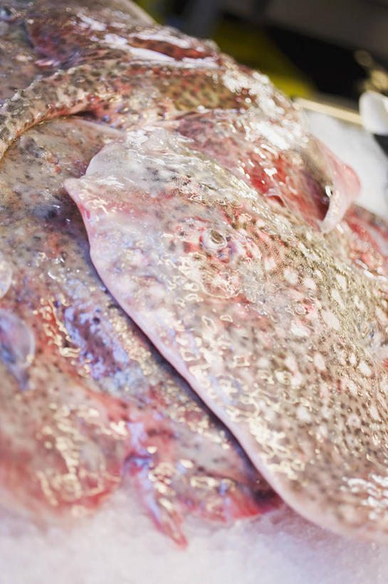 海鲜,无人,竖图,俯视,室内,特写,白天,购物,消费,比目鱼,一堆,许多,阴影,堆叠,堆积,朦胧,模糊,反射,鱼,影子,冰,冰块,集市,市场,冷冻,水产,海洋生物,寒冷,金融,冷藏,堆,冰冷,水生动物,海产品,水生物,选购,贸易,海底动物,保鲜,鲽鱼,彩图,高角度拍摄,鱼市