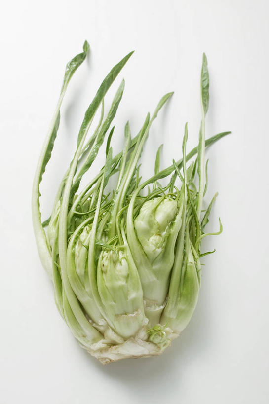 无人,竖图,俯视,室内,特写,白天,白色背景,桌面,桌子,蔬菜,叶子,阴影,新鲜,反射,木制,影子,菊苣,食品,绿叶,药草,食物,木制品,嫩叶,摄影,有机食品,绿色食品,影棚,叶,叶片,彩图,高角度拍摄,影棚拍摄,拍摄