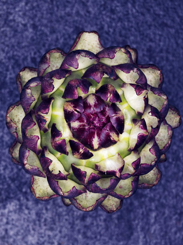 无人,竖图,俯视,室内,特写,白天,桌面,桌子,蔬菜,阴影,蓝色背景,新鲜,反射,木制,影子,朝鲜蓟,食品,食物,木制品,洋蓟,摄影,有机食品,绿色食品,影棚,彩图,高角度拍摄,影棚拍摄,拍摄,菜蓟,法国百合,球洋蓟,蔬菜之皇,洋百合