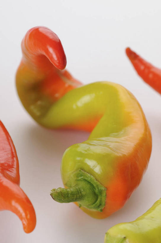 无人,竖图,俯视,室内,特写,白天,白色背景,桌面,桌子,辣椒,蔬菜,阴影,朦胧,模糊,曲折,弯曲,新鲜,反射,木制,影子,食品,食物,三个,木制品,摄影,蜿蜒,有机食品,绿色食品,影棚,辣角,红海椒,大椒,辣虎,广椒,辣子,红辣椒,海椒,番椒,彩图,高角度拍摄,影棚拍摄,拍摄