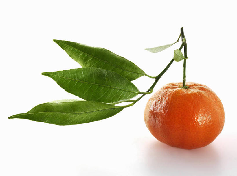 无人,横图,俯视,室内,特写,白天,白色背景,植物,桌面,桌子,水果,叶子,阴影,新鲜,反射,木制,纹理,影子,生食,食品,果实,绿叶,食物,一个,绿色,木制品,橙色,嫩叶,摄影,有机食品,绿色食品,影棚,单个,甜橙,肌理,叶,叶片,叶脉,橙子,橙,彩图,高角度拍摄,影棚拍摄,拍摄,鹄壳,黄橙,黄果,金橙,金环,金球,糖橙