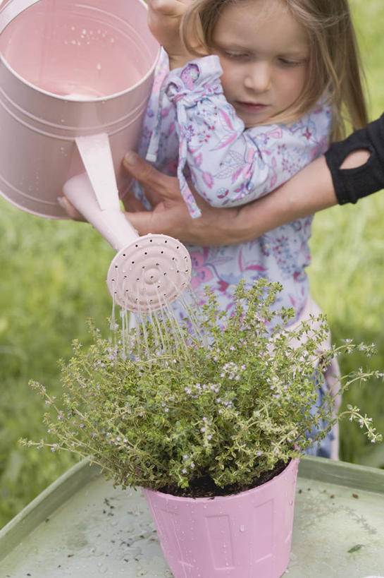西方人,儿童,中年人,两个人,家庭,母亲,女儿,站,举,竖图,室外,白天,正面,纯洁,草地,草坪,植物,欧洲,欧洲人,倒,握,服装,壶,盆栽,盆景,拿,洒水壶,拿着,注视,休闲装,水壶,草,小孩,衣服,绿色,自然,观察,看,托,站着,休闲,温暖,温馨,母女,一家人,休闲服,可爱,母爱,童年,童趣,握着,服饰,生长,成长,观看,和睦,察看,关注,童真,烂漫,无邪,浇水壶,天真,女孩,女人,女性,中年女性,白种人,孩子,举起,举手,举着,向上举,向上伸,向上托,站立,半身,彩图,融洽,女生
