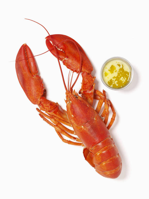 海鲜,龙虾,无人,竖图,俯视,室内,特写,白天,白色背景,桌面,桌子,玻璃,阴影,反射,木制,影子,虾,黄油,水产,海洋生物,玻璃制品,一只,木制品,容器,碗,摄影,影棚,储藏,乳制品,储存,水生动物,白脱油,海产品,水生物,海底动物,乳脂,彩图,高角度拍摄,全身,影棚拍摄,拍摄,贮存