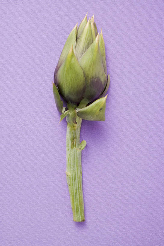 无人,竖图,俯视,室内,特写,白天,桌面,桌子,蔬菜,阴影,紫色背景,新鲜,反射,木制,影子,朝鲜蓟,食品,食物,一个,木制品,洋蓟,摄影,有机食品,绿色食品,影棚,单个,彩图,高角度拍摄,影棚拍摄,拍摄,菜蓟,法国百合,球洋蓟,蔬菜之皇,洋百合