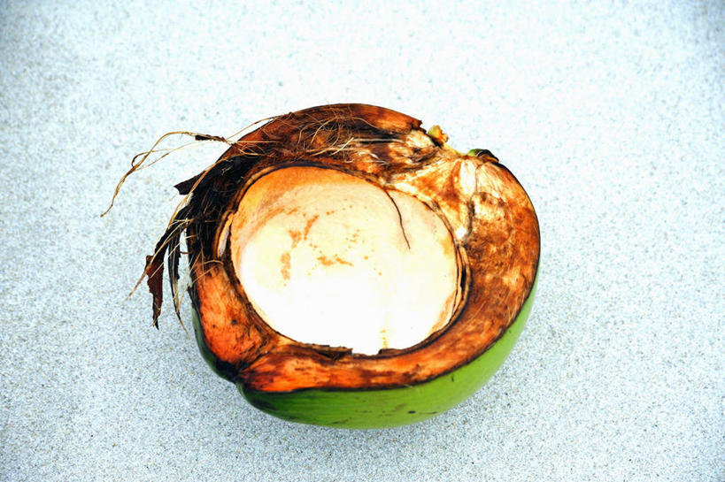 无人,横图,俯视,室内,特写,白天,桌面,桌子,椰子,水果,阴影,新鲜,反射,木制,影子,生食,食品,果实,食物,木制品,有机食品,绿色食品,横截面,剖面,大椰,胥余,椰瓢,越王头,截面,截面图形,彩图,高角度拍摄