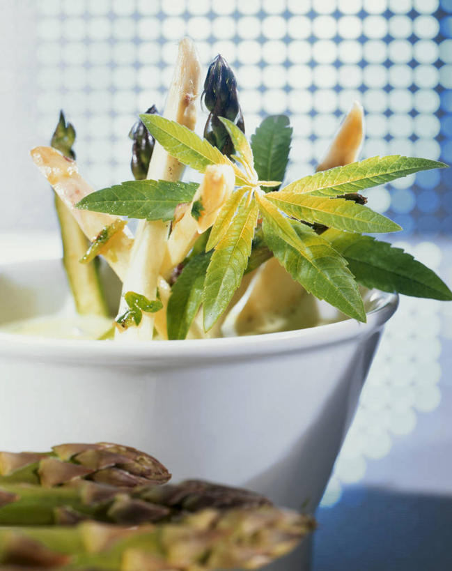 无人,竖图,室内,特写,白天,正面,烹饪,西餐,桌面,桌子,芦笋,蔬菜,阴影,新鲜,反射,木制,影子,陶瓷,汤,料理,食品,陶瓷制品,菜肴,美食,食物,一个,木制品,容器,碗,西式,佳肴,有机食品,绿色食品,单个,储藏,储存,奶油汤,羹汤,猪尾巴,药鸡豆子,石刁柏,蚂蚁杆,龙须菜,狼尾巴根,彩图,奶油芦笋汤,贮存