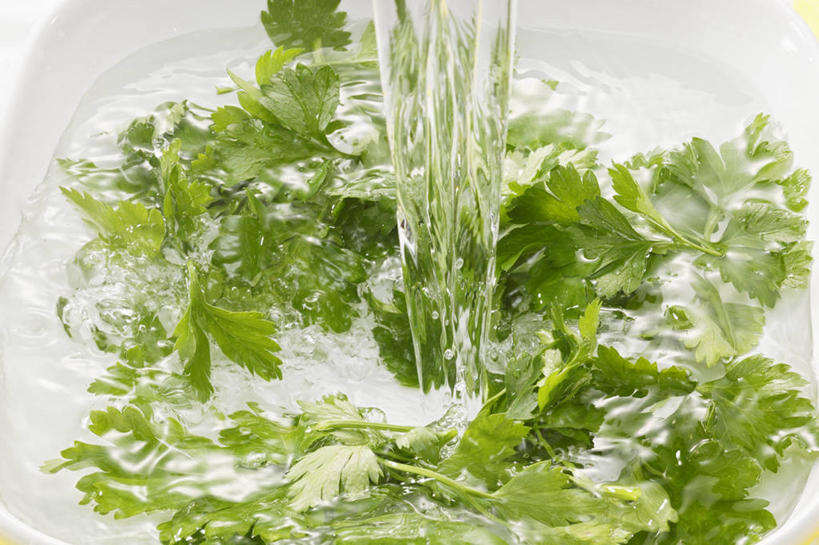 无人,横图,俯视,室内,特写,白天,水,餐桌,桌子,蔬菜,叶子,阴影,飞溅,新鲜,溅,反射,液体,影子,水滴,香菜,食品,绿叶,水珠,食物,嫩叶,有机食品,绿色食品,餐台,喷洒,胡菜,香荽,原荽,园荽,芫荽,胡荽,莞荽,芫茜,芫蓿,莚葛草,莚荽菜,荡涤,洗濯,叶,叶片,清洗,彩图,高角度拍摄