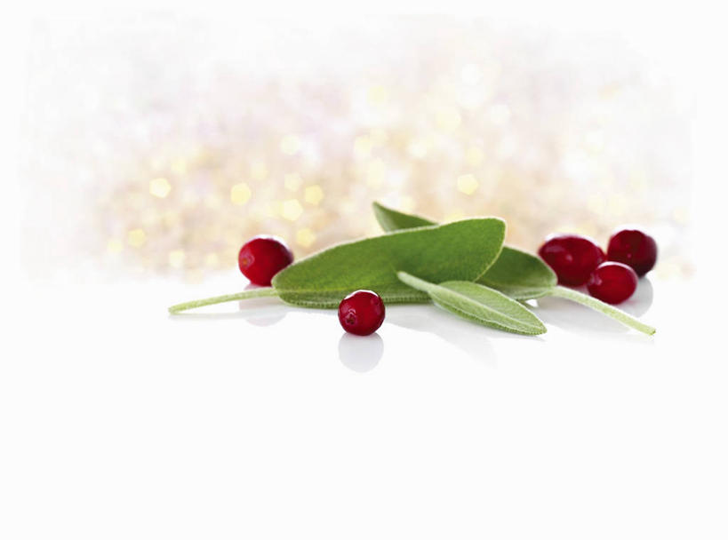 无人,家庭,横图,俯视,室内,特写,白天,白色背景,智慧,植物,餐桌,桌子,水果,叶子,阴影,新鲜,反射,影子,生食,食品,果实,绿叶,草药,药草,中药,食物,红色,嫩叶,摄影,有机食品,绿色食品,影棚,餐台,蔓越莓,鼠尾草,小红莓,药材,中草药,中药材,本草,理性,叶,叶片,彩图,高角度拍摄,影棚拍摄,拍摄