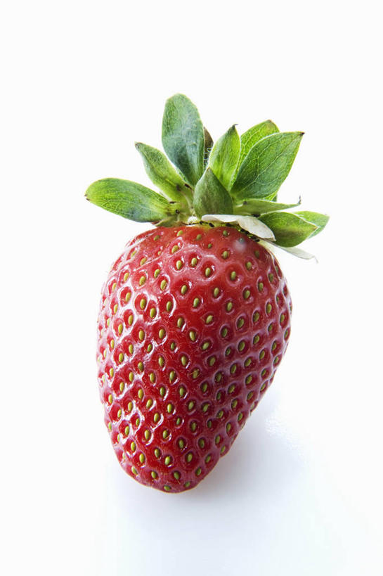 无人,竖图,室内,特写,白天,白色背景,正面,餐桌,桌子,草莓,浆果,水果,叶子,阴影,新鲜,反射,影子,生食,食品,果实,绿叶,一颗,食物,红色,嫩叶,摄影,有机食品,绿色食品,影棚,餐台,叶,叶片,洋莓,水果皇后,红莓,地莓,彩图,影棚拍摄,拍摄