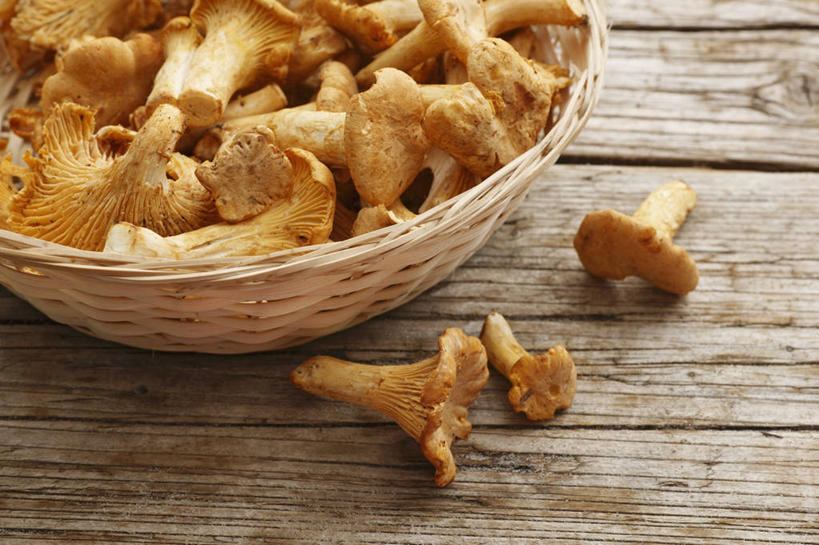 无人,交叉,横图,俯视,室内,特写,白天,餐桌,桌子,竹子,蔬菜,一堆,许多,阴影,堆叠,堆积,竹制,新鲜,编织,反射,篮子,影子,菌菇,食品,很多,菌类,食物,一个,黄色,竹篮,食用菌,有机食品,绿色食品,单个,餐台,竹条,堆,交织,竹制品,鸡油菌,穿插,杏黄菌,杏菌,彩图,高角度拍摄