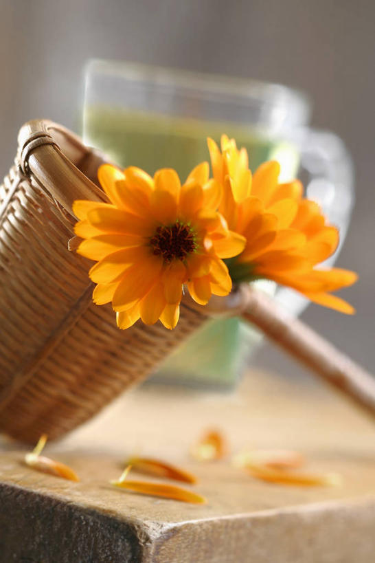 无人,竖图,俯视,室内,特写,白天,幸福,餐桌,茶,桌子,杯子,阴影,朦胧,模糊,盛开,反射,滤器,影子,勺子,茶叶,饮品,一杯,花蕾,娱乐,花,花瓣,花朵,鲜花,两个,水杯,花茶,花苞,花蕊,享受,休闲,温馨,橙色,放松,乐趣,保健,养生,餐台,花草茶,舒适,漏勺,香花茶,香片,熏花茶,茶杯,彩图,高角度拍摄