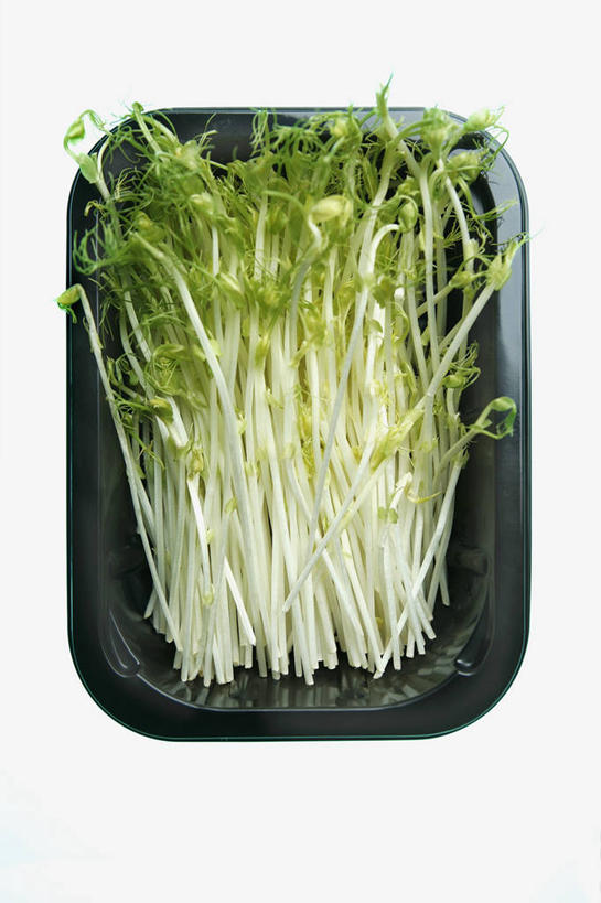 无人,竖图,俯视,室内,特写,白天,白色背景,餐桌,桌子,蔬菜,叶子,许多,阴影,新鲜,反射,影子,塑料,食品,绿叶,很多,豆苗,盒子,食物,一个,黑色,容器,塑料制品,嫩叶,摄影,有机食品,绿色食品,影棚,单个,餐台,储藏,储存,豌豆苗,豌豆藤,叶,叶片,彩图,高角度拍摄,影棚拍摄,拍摄,贮存