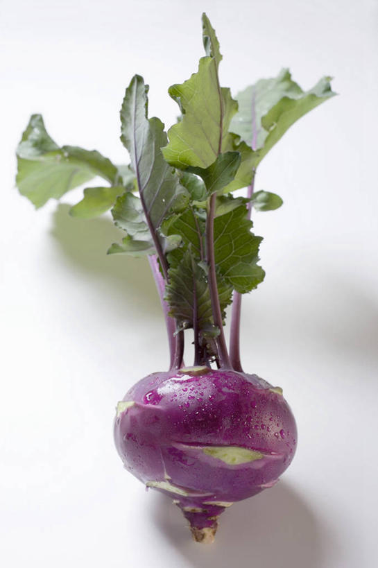 无人,竖图,俯视,室内,特写,白天,白色背景,植物,餐桌,桌子,蔬菜,叶子,阴影,新鲜,反射,纹理,影子,食品,绿叶,食物,一个,绿色,紫色,嫩叶,芥菜,摄影,有机食品,绿色食品,影棚,单个,餐台,大头菜,肌理,盖菜,叶,叶片,叶脉,彩图,高角度拍摄,影棚拍摄,拍摄