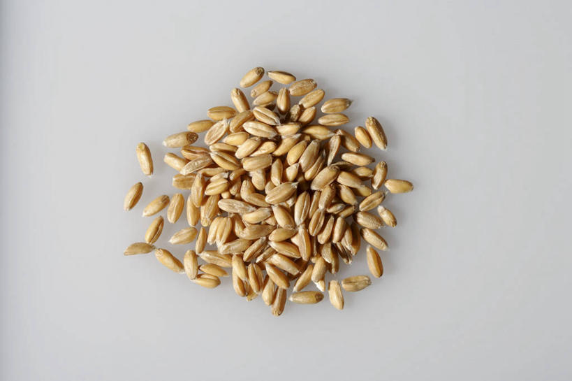 无人,横图,俯视,室内,特写,白天,农作物,小麦,桌面,桌子,一堆,许多,阴影,堆叠,堆积,灰色背景,反射,木制,影子,谷物,很多,黄色,木制品,摄影,麦子,影棚,堆,斯佩尔特小麦,彩图,高角度拍摄,影棚拍摄,拍摄