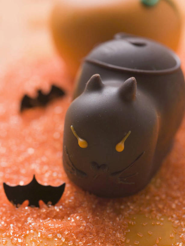 无人,竖图,俯视,室内,特写,白天,餐桌,桌子,蝙蝠,宠物,猫,南瓜,蔬菜,阴影,节日,朦胧,模糊,庆祝,新鲜,反射,影子,金瓜,食品,糖,糖果,甜点,甜品,文化,番瓜,食物,黄色,动物,甜食,巧克力,庆典,万圣节,可爱,有机食品,绿色食品,餐台,纪念,朱古力,麦瓜,倭瓜,猫咪,彩图,高角度拍摄