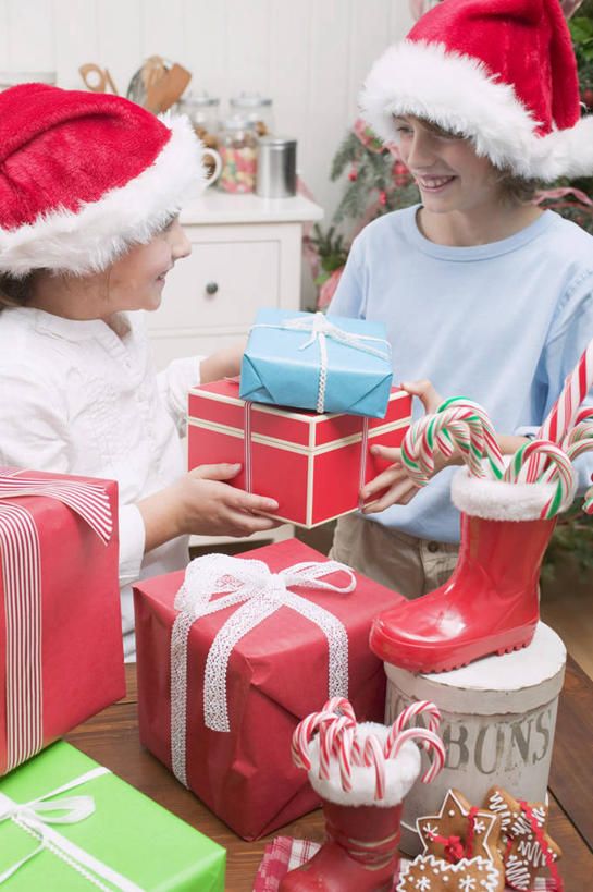 西方人,儿童,两个人,家庭,站,笑,微笑,露齿笑,竖图,室内,白天,正面,纯洁,礼盒,礼物,帽子,欧洲,圣诞节,欧洲人,握,服装,节日,庆祝,装饰,包装,包装纸,丝绸,丝带,纸,纸盒,缎带,纸张,拿,拿着,注视,休闲装,文化,相视,绸带,盒子,小孩,衣服,红色,包装盒,礼品盒,观察,看,站着,庆典,休闲,温暖,温馨,一家人,面对面,休闲服,圣诞帽,可爱,童年,童趣,握着,服饰,礼品,观看,纪念,对视,华丽,修饰,点缀,和睦,察看,包装材料,牛皮纸,互视,关注,相对,童真,烂漫,无邪,相看,衬托,美观,雅致,雅观,棉帽,天真,男孩,男人,男性,女孩,女人,女性,白种人,站立,半身,彩图,融洽,男生,女生