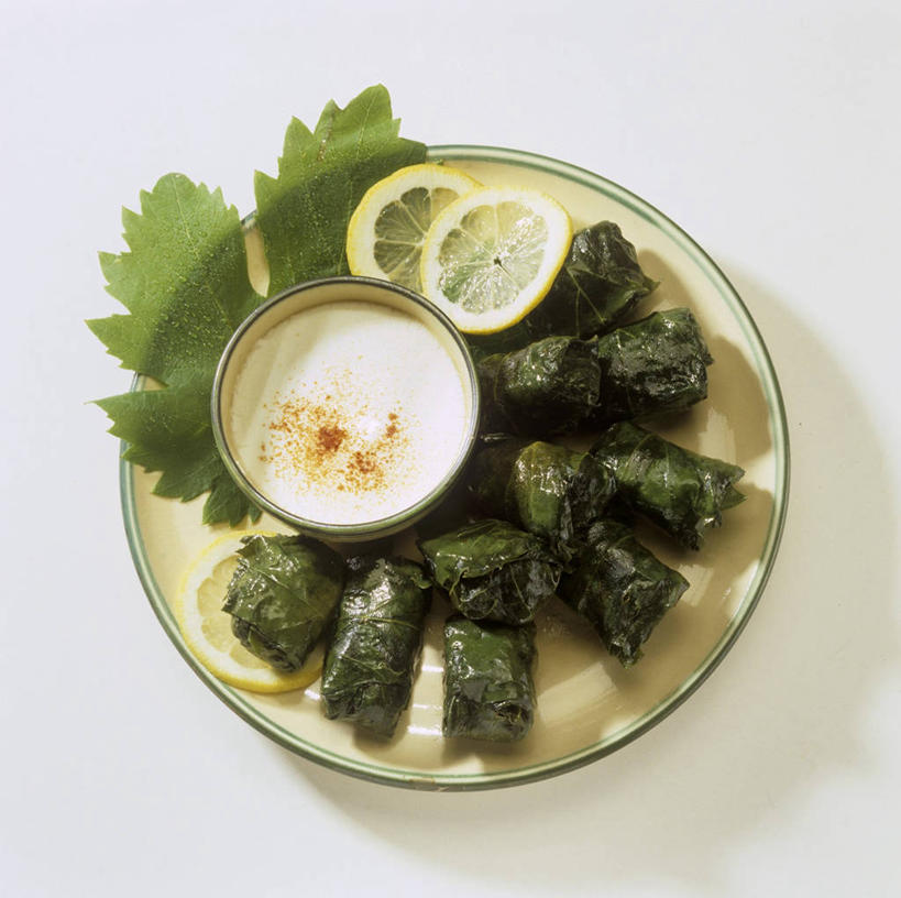 牛奶,无人,横图,俯视,室内,特写,白天,白色背景,植物,桌面,桌子,柠檬,餐具,水果,叶子,切开,阴影,新鲜,反射,木制,碟子,盘,纹理,影子,陶瓷,生食,食品,果实,绿叶,陶瓷制品,饮品,营养,酸奶,食物,饮料,一个,绿色,盘子,木制品,容器,碟,碗,切,嫩叶,摄影,有机食品,绿色食品,影棚,单个,储藏,乳制品,奶,储存,发酵,剖面,切面,肌理,优格,优酪乳,叶,叶片,叶脉,益母果,柠果,彩图,高角度拍摄,影棚拍摄,拍摄,贮存