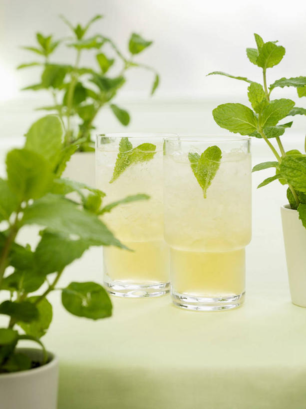 无人,竖图,俯视,室内,特写,白天,植物,桌面,桌子,杯子,叶子,阴影,反射,粘稠,木制,盆栽,纹理,影子,冰,调料,冰块,薄荷,糖,绿叶,银丹草,盆景,调味品,调味料,冷冻,玻璃制品,两个,绿色,自然,木制品,水杯,嫩叶,寒冷,生长,冷藏,成长,糖浆,冰冷,苏打,黏稠,肌理,保鲜,浓厚,斑叶凤梨薄荷,苹果薄荷,夜息香,碳酸钠,化学物质,纯碱,碱面,叶,叶片,叶脉,玻璃杯,彩图,高角度拍摄