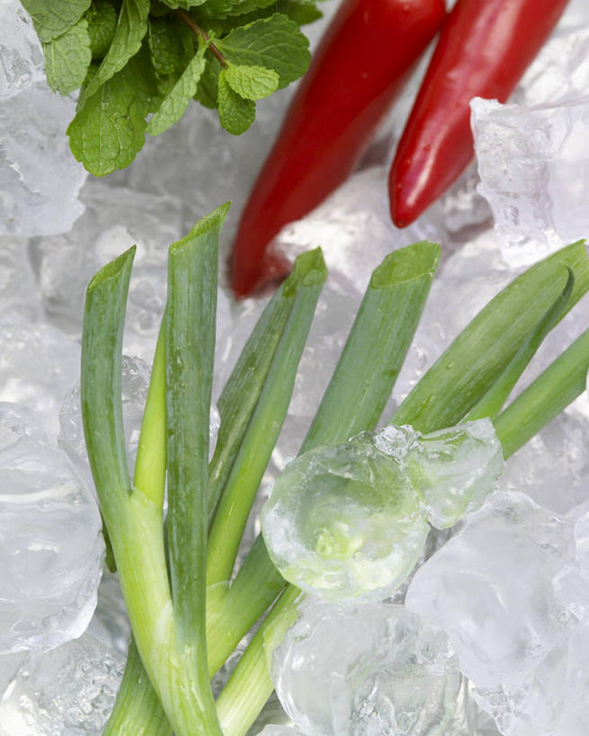 无人,竖图,俯视,室内,特写,白天,植物,桌面,桌子,辣椒,蔬菜,叶子,阴影,新鲜,反射,木制,纹理,影子,冰,葱,青葱,冰块,薄荷,食品,绿叶,银丹草,冷冻,食物,绿色,木制品,嫩叶,寒冷,有机食品,绿色食品,冷藏,冰冷,辣角,红海椒,大椒,辣虎,广椒,肌理,保鲜,斑叶凤梨薄荷,苹果薄荷,夜息香,叶,叶片,叶脉,辣子,红辣椒,海椒,番椒,彩图,高角度拍摄