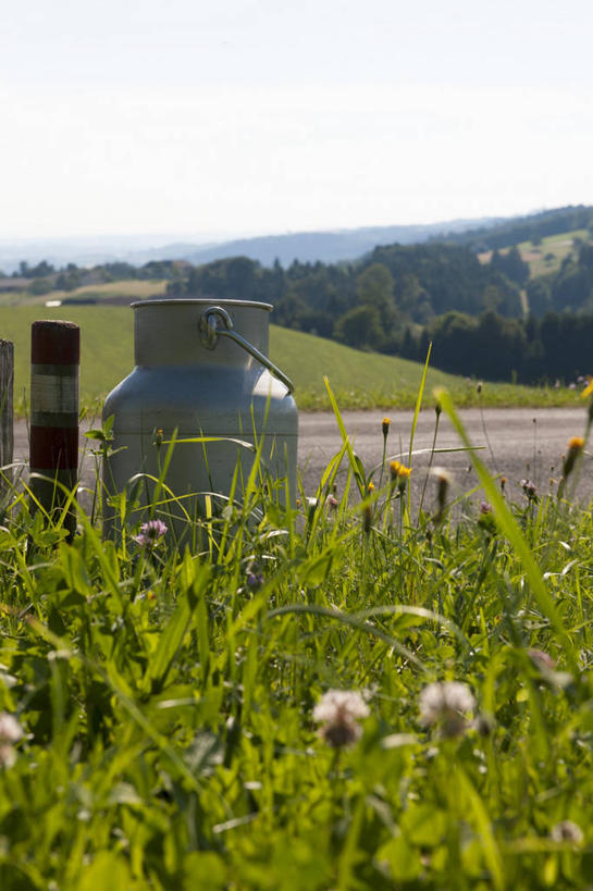 无人,竖图,室外,白天,正面,旅游,度假,草地,草坪,花海,花圃,美景,植物,叶子,阴影,盛开,光线,影子,景观,花蕾,娱乐,草,花,花瓣,花朵,花卉,鲜花,树,树木,蓝色,绿色,蓝天,天空,阳光,自然,花丛,花束,花田,天,花苞,花蕊,享受,休闲,景色,放松,生长,晴朗,成长,自然风光,万里无云,晴空,晴空万里,彩图