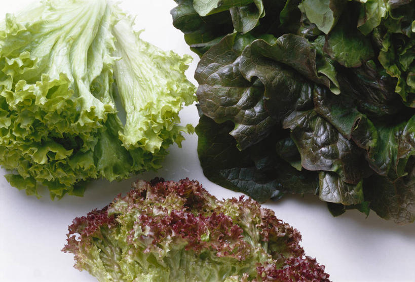 无人,横图,俯视,室内,特写,白天,植物,桌面,桌子,蔬菜,叶子,阴影,新鲜,反射,木制,纹理,影子,生菜,莴苣,食品,绿叶,食物,绿色,木制品,嫩叶,有机食品,绿色食品,肌理,春菜,鹅仔菜,莴仔菜,千金菜,叶用莴苣,叶,叶片,叶脉,彩图,高角度拍摄