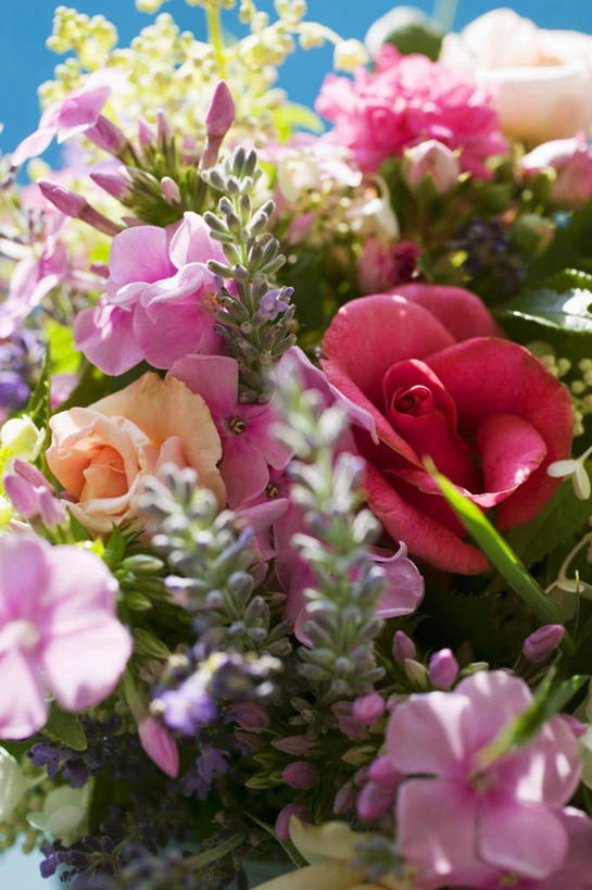 无人,竖图,俯视,室内,特写,白天,智慧,植物,桌面,桌子,叶子,阴影,艺术,装饰,盛开,反射,木制,纹理,影子,绿叶,花蕾,文化,花,花瓣,花朵,鲜花,绿色,插花,木制品,花苞,花蕊,嫩叶,华丽,修饰,插花艺术,点缀,创造,创作,想象,肌理,衬托,美观,雅致,雅观,叶,叶片,叶脉,彩图,高角度拍摄