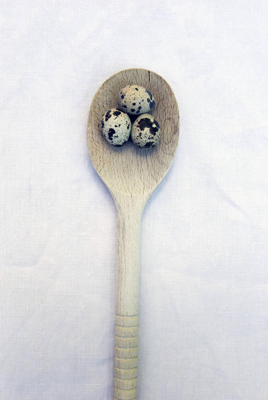 无人,竖图,俯视,室内,特写,白天,白色背景,桌面,桌子,金属制品,阴影,反射,金属,木制,影子,勺子,蛋,鹌鹑蛋,三个,一个,木制品,调羹,汤匙,摄影,影棚,单个,卵,鹌鹑卵,鹑鸟蛋,彩图,高角度拍摄,影棚拍摄,拍摄