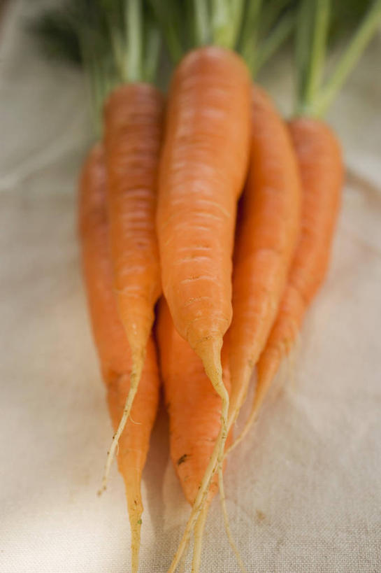 无人,竖图,俯视,室内,特写,白天,白色背景,桌面,桌子,萝卜,胡萝卜,蔬菜,叶子,一堆,许多,阴影,堆叠,堆积,新鲜,反射,木制,影子,食品,绿叶,很多,食物,木制品,橙色,嫩叶,摄影,有机食品,绿色食品,影棚,堆,叶,叶片,红萝卜,甘荀,彩图,高角度拍摄,影棚拍摄,拍摄