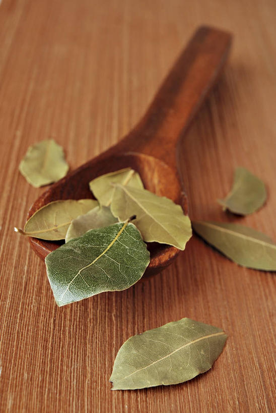 无人,竖图,俯视,室内,特写,白天,植物,桌面,桌子,叶子,阴影,反射,木制,纹理,影子,勺子,绿叶,绿色,木制品,调羹,汤匙,嫩叶,草本,月桂叶,香叶,肌理,天竺桂,香桂叶,桂叶,月桂,叶,叶片,叶脉,彩图,高角度拍摄